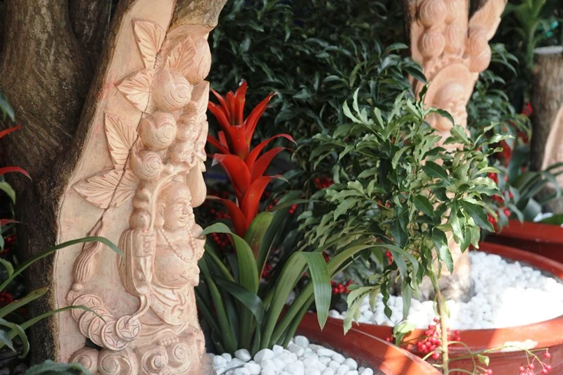 Độc đáo cây phát tài khắc hình Phật tại chợ hoa Sài Gòn ảnh 5